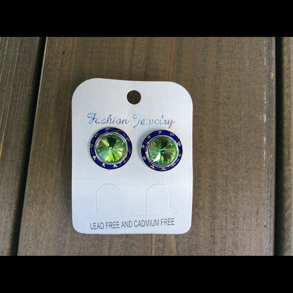NWOT SEAHAWKS COLOR EARRINGS